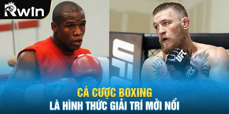 Cá cược boxing là hình thức giải trí mới nổi