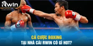 Cá Cược boxing Tại Nhà Cái Rwin Có Gì Hot?