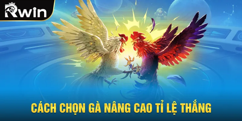 Cách chọn gà nâng cao tỉ lệ thắng