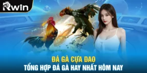Đá Gà Cựa Dao - Tổng Hợp Đá Gà Hay Nhất Hôm Nay