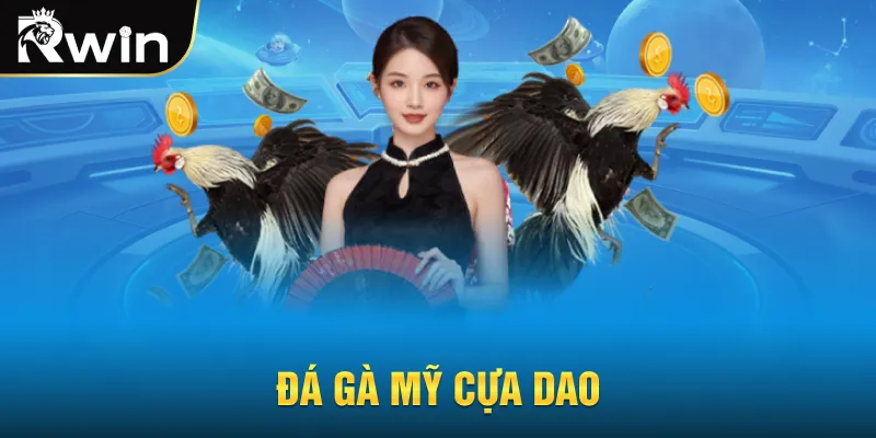 Đá gà Mỹ cựa dao