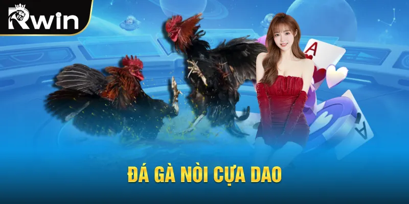 Đá gà nòi cựa dao