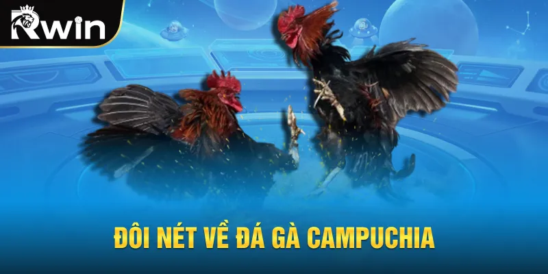 Đôi nét về đá gà Campuchia
