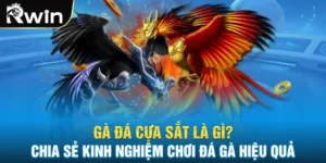 Đá Gà Cựa Sắt Là Gì? Chia Sẻ Kinh Nghiệm Chơi Đá Gà Hiệu Quả