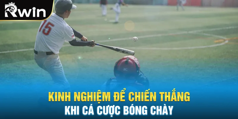 Kinh nghiệm để chiến thắng khi cá cược bóng chày