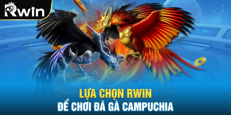 Lựa chọn Rwin để chơi đá gà Campuchia