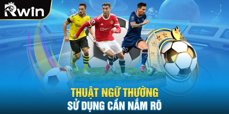Thuật ngữ thường sử dụng cần nắm rõ