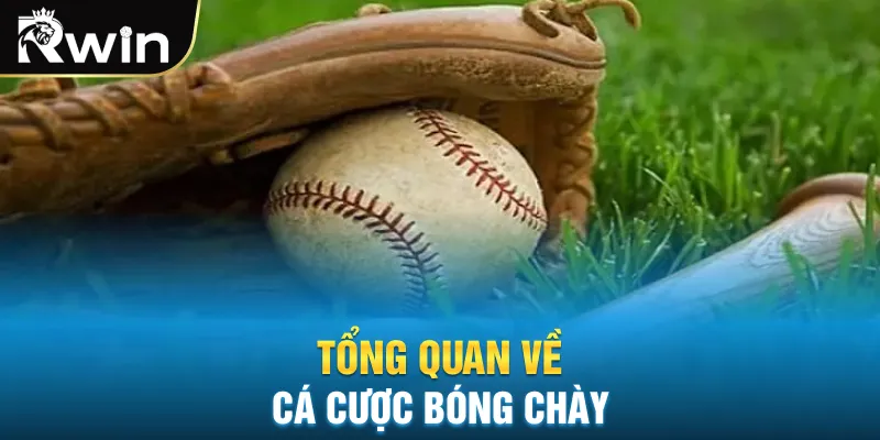 Tổng quan về cá cược bóng chày